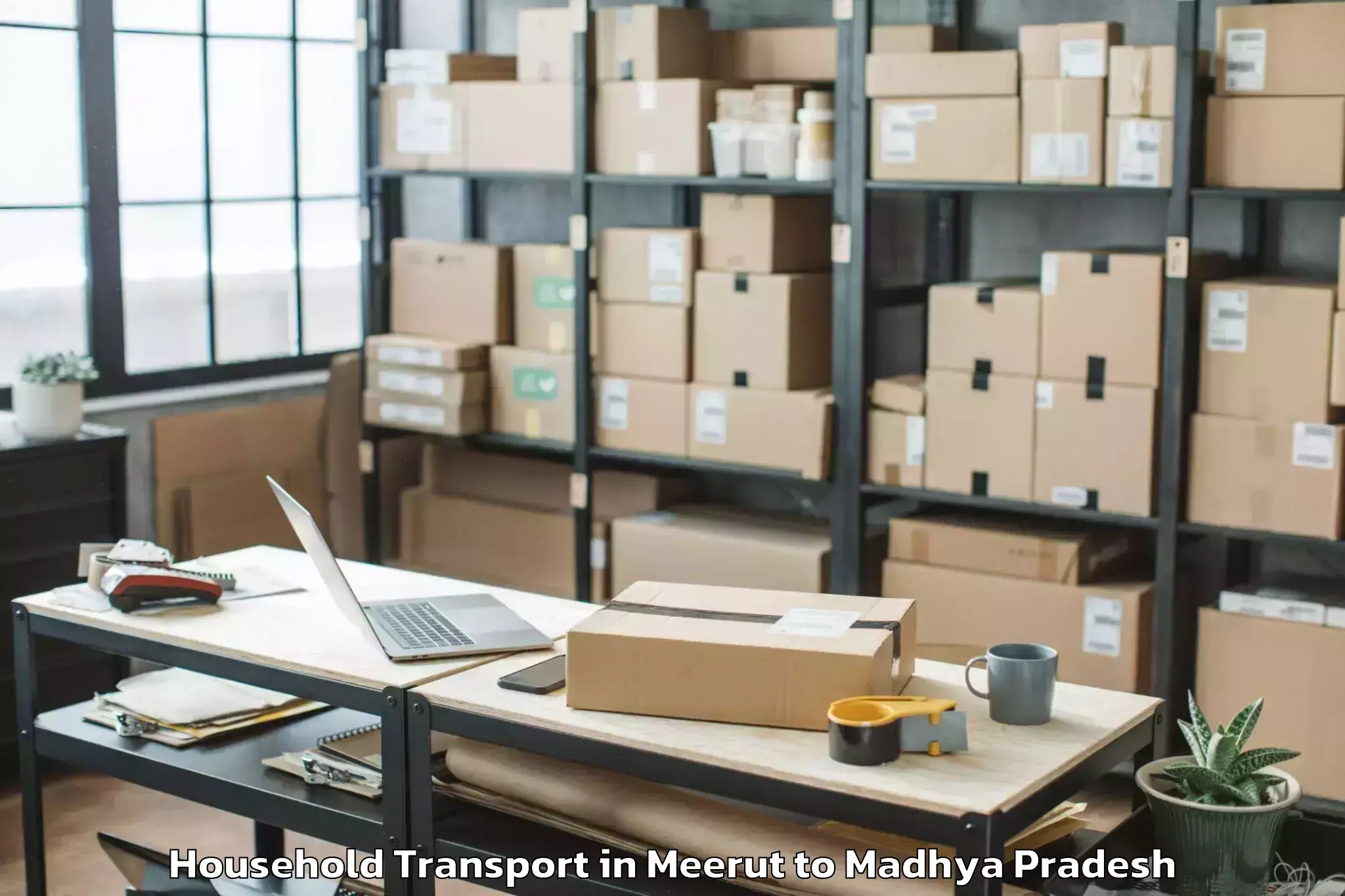 Book Meerut to Thikri Household Transport Online